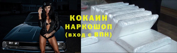 индика Богданович